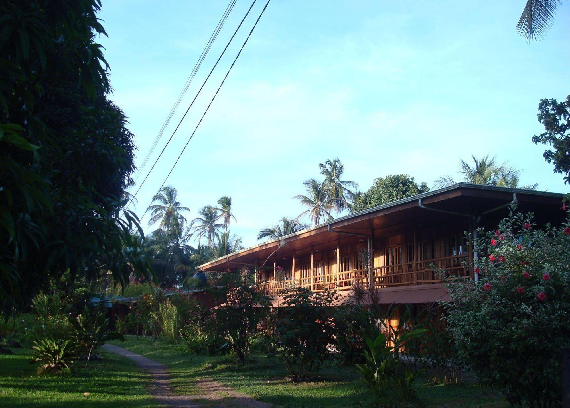 Miss Junies Lodge Tortuguero Exteriör bild